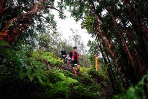 BIB: 
                            <button type="button" onclick="openModal(26202532)" class="btn btn-primary btn-sm float-right btn-popup" data-toggle="modal" data-target=".modal-high-quality">
                        <i class="fas fa-shopping-cart"></i> Add to Cart
                    </button>
                                            <button type="button" onclick="isThisMe(26202532, true)" class="btn btn-success btn-sm float-right btn-popup btn-isme hidden" data-toggle="tooltip" data-placement="bottom" title="นี่คือรูปของคุณใช่ไหม คลิกที่นี่เพื่อเอาเข้าอัลบั้ม">
                        <i class="fas fa-plus"></i> Add to album
                    </button>
                    <button type="button" onclick="isThisMe(26202532, false)" class="btn btn-warning btn-sm float-right btn-popup btn-isnotme hidden">
                        <i class="fas fa-ban"></i> Remove from album
                    </button>